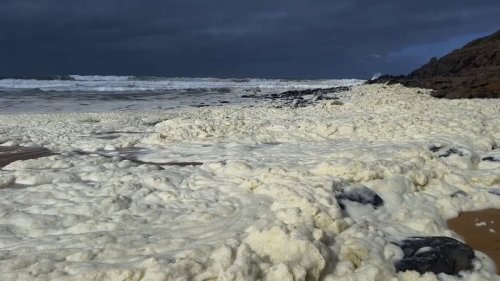 Video. Strände in Australien wegen giftigem Schaum geschlossen