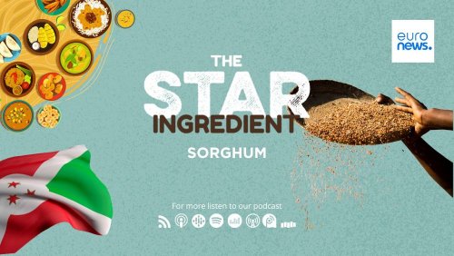 Podcast | Sorghum, a forgotten ancestral grain from Burundi