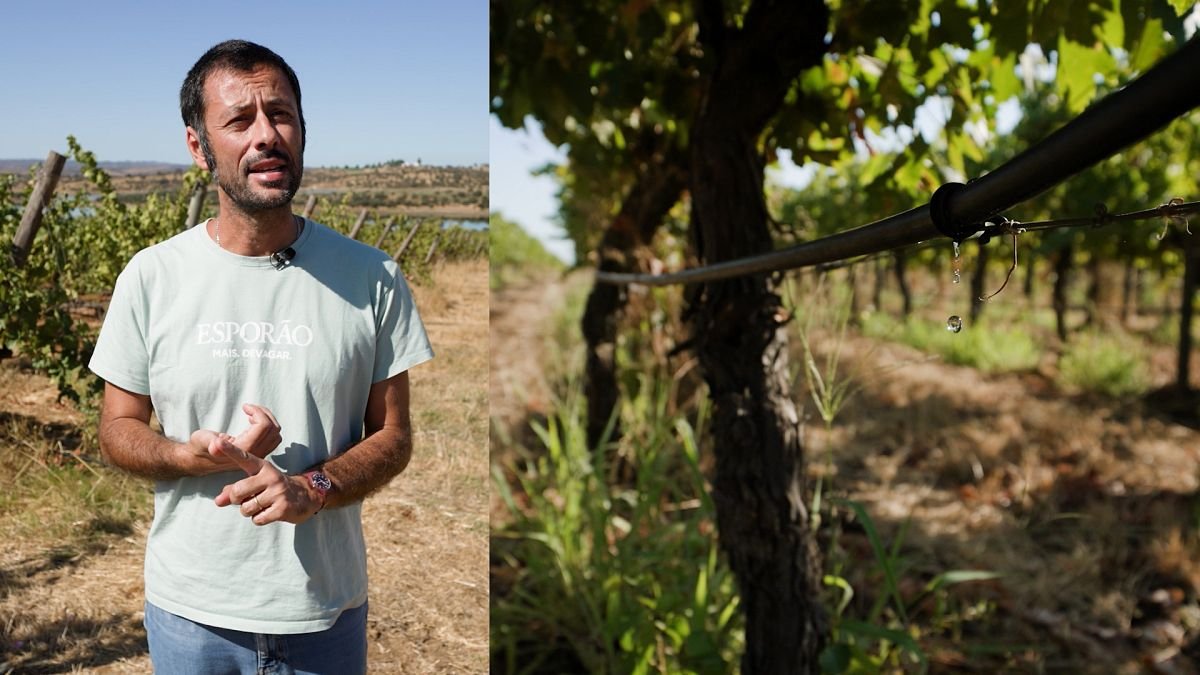 Agriculture économe en eau : 5 conseils pour économiser l’eau (et comment l’UE peut aider)