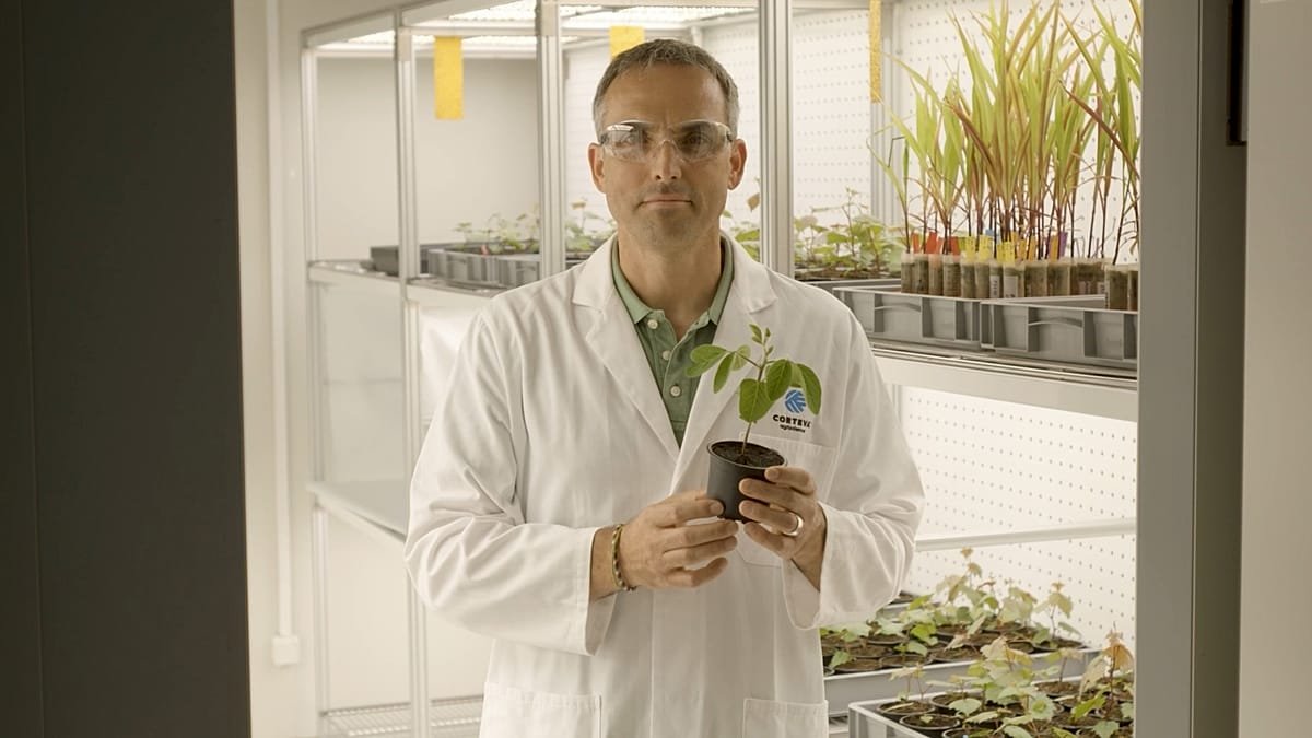 Édition génomique : la technologie qui pourrait revitaliser l’agriculture européenne