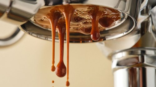 Superfood-based ‘beanless coffee’ could slash emissions and water use by 94%