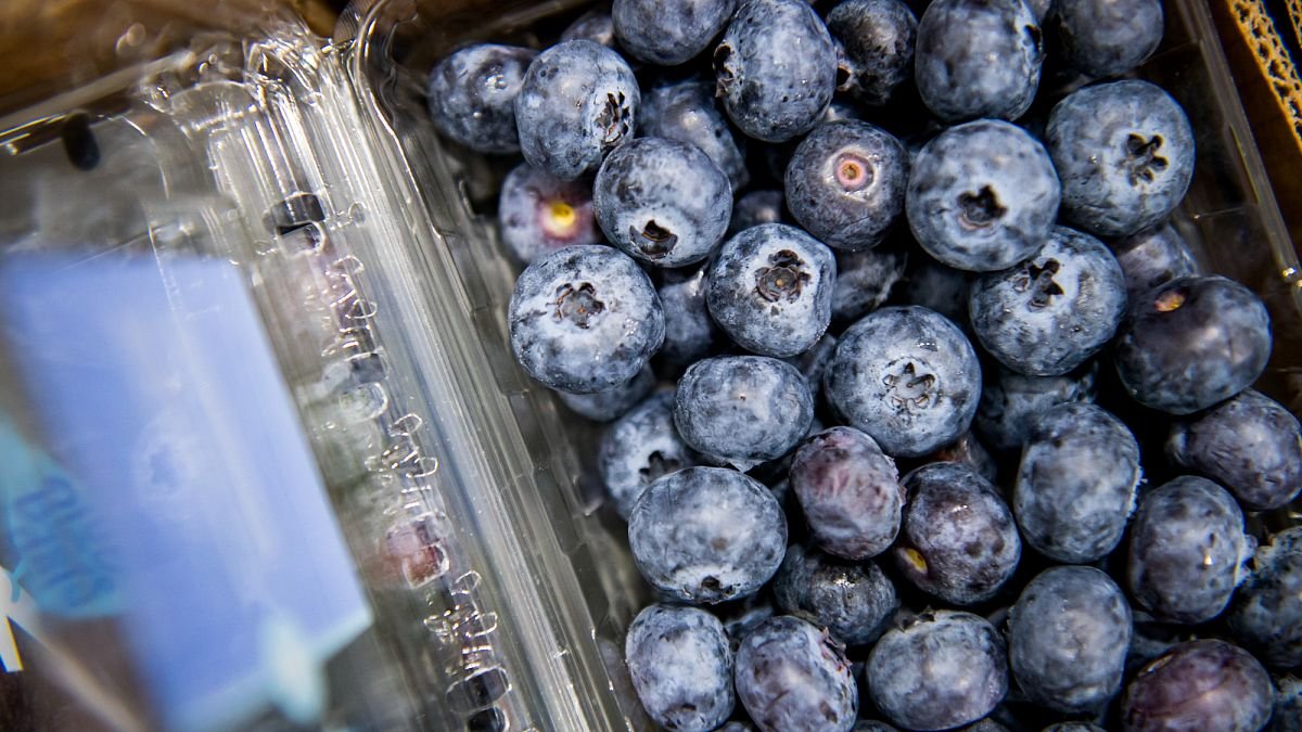 Moins de cueilleurs, plus de chaleur : la recette d’une mauvaise saison pour les baies suédoises