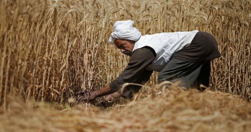 20 million farmers in Africa to benefit from $1.5 billion emergency food facility