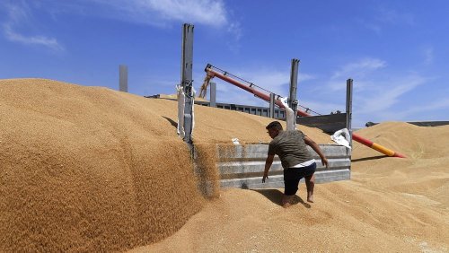 La Tunisie vise l'autosuffisance en blé dur d'ici 2023
