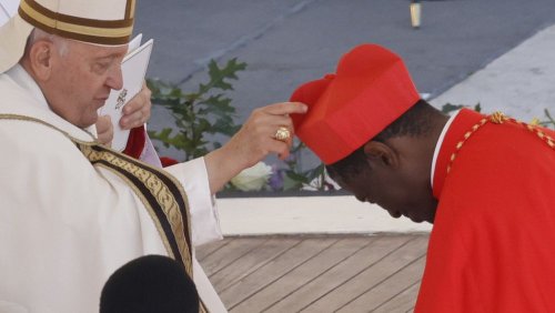 'Diversity is neccessary': Pope Francis elevates 21 new cardinals from around the world
