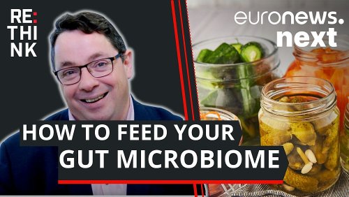 Psychobiotics: How eating more fibre and fermented foods can reduce your stress