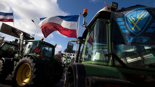 Hundreds of Dutch farmers sign up to close their livestock farms under new scheme