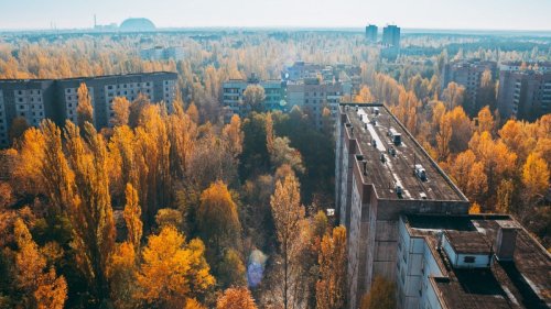 Chernobyl: Why the nuclear disaster was an accidental environmental success