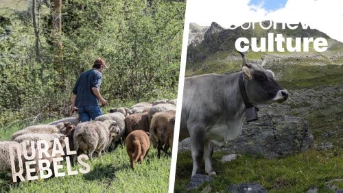 Meet the Swiss farming couple who fought to give their cattle a better life, and a better death