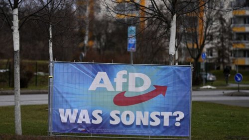 Rückzieher: Brandenburg stuft AfD-Landesverband nicht länger als "gesichert rechtsextrem" ein