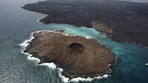 Antarktis, Galapagosinseln und noch weiter: 5 Ziele abseits ausgetretener Pfade per Schiff erkunden