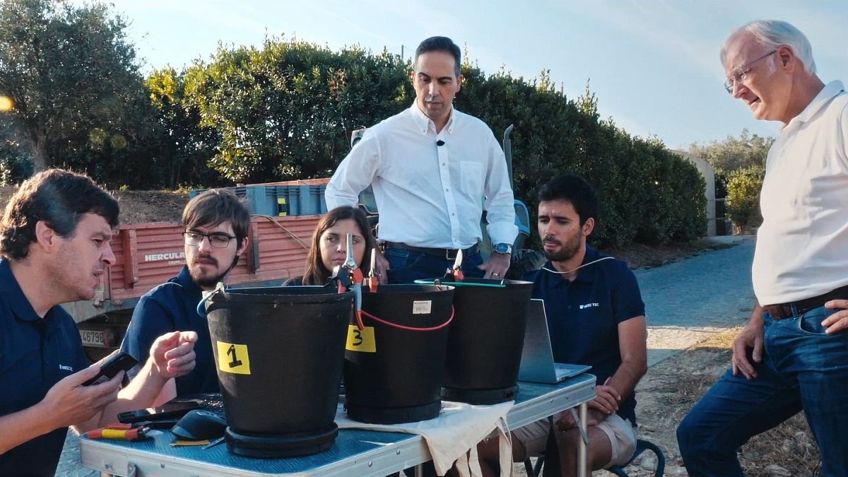 Le vin du Douro peut-il atteindre une transparence parfaite ?