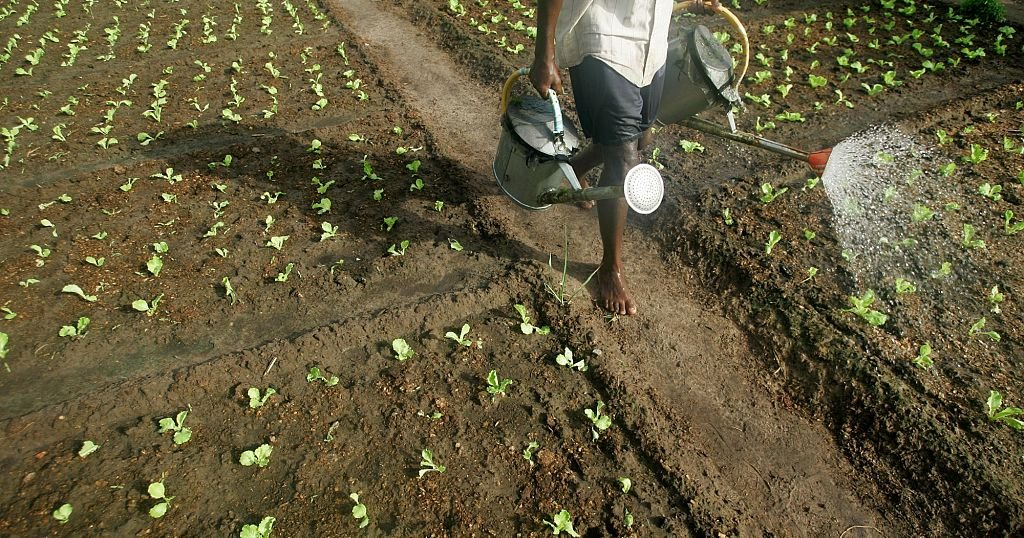 Le Sénégal et le Vietnam signent de nouveaux accords axés sur l’agriculture
