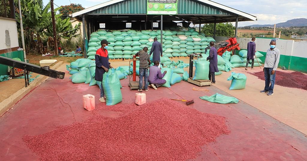 Les jeunes peuvent transformer les systèmes agroalimentaires, selon la FAO