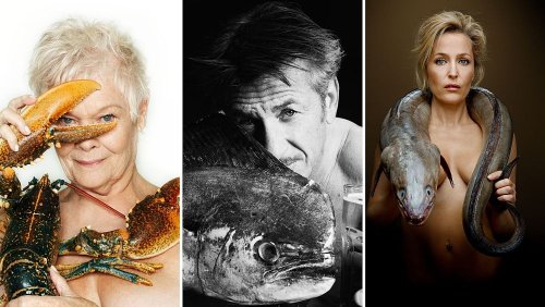 Provokative Fotoausstellung zeigt nackte Prominente mit Meeresbewohnern
