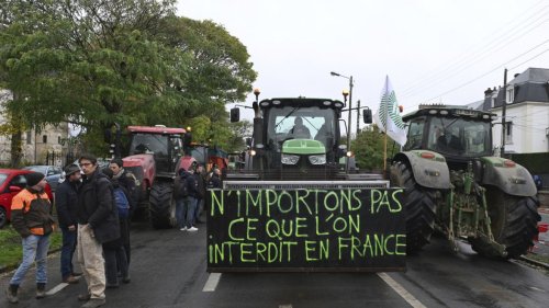 La France cherche à rallier une minorité de blocage contre l'accord commercial avec le Mercosur