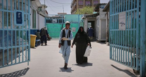 ONU : la faim aiguë a touché 295 millions de personnes en 2024
