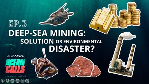 Deep-sea mining: green-tech enabler or environmental catastrophe?