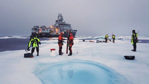 Das Meereis am Nordpol wird dünner: Wie sieht die Arktis in Zukunft aus?