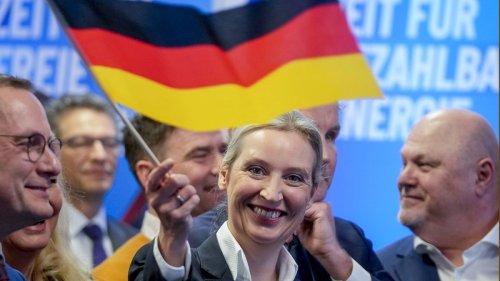Was ausländische Medien über die AfD sagen