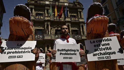 VIDEO : Tierschützer laufen Sturm gegen Stierrennen in Pamplona
