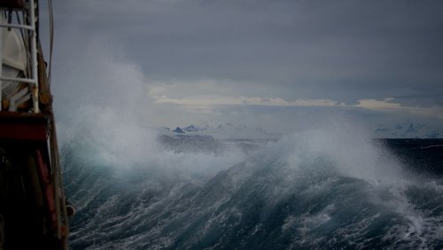 Passenger dies after giant wave smashes glass window on Antarctic cruise