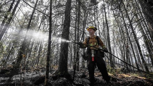 Canada travel warning: Everything you need to know about travelling during wildfires