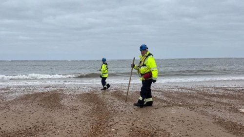 What are nurdles? ‘Sheen’ of plastic pellets spotted in the North Sea after ship crash