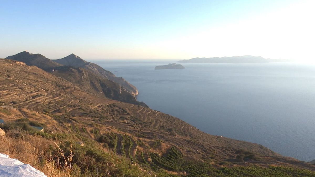 Grèce : le vignoble de l’île de Sikinos remet au goût du jour des cépages d’exception
