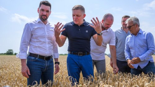 Maul- und Klauenseuche: Slowakei verhängt Notstand über das gesamte Land