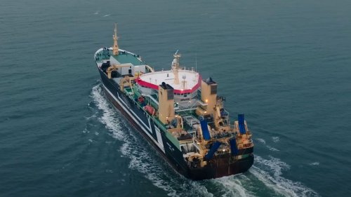 Investigation reveals ‘sprawling empire’ of 5 Dutch companies dominating Europe’s fishing industry