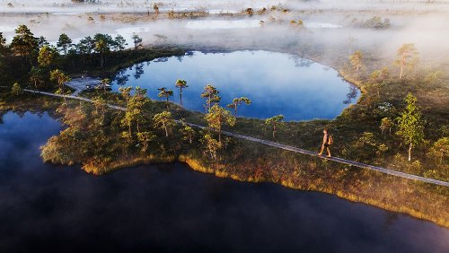 Are you an eco-conscious traveller? Here’s why Estonia should be your next destination
