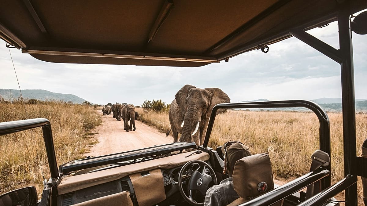 YOLO, JOMO but not FOMO: The trends inspiring traveller choices