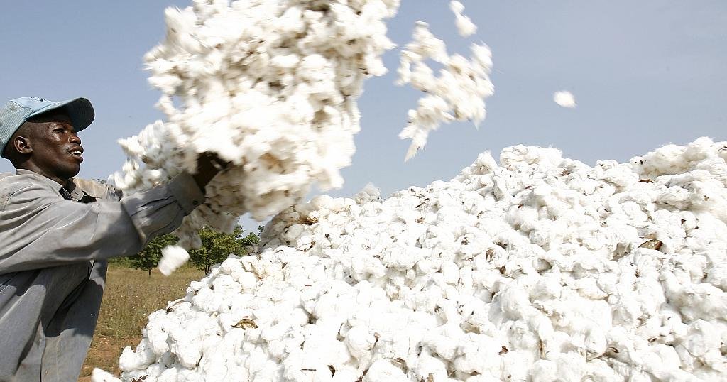 Togo wants to re-launch its cotton industry