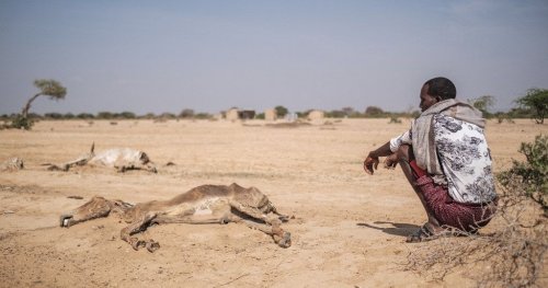 L'Afrique frappée par des conditions météorologiques extrêmes