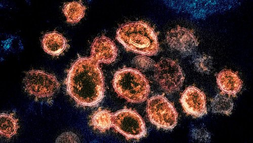 Sous-variant d'Omicron BA.2 : est-il plus contagieux ou plus dangereux que les autres virus ?