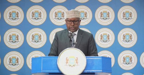 Somalia reverts to direct vote, presidential rule