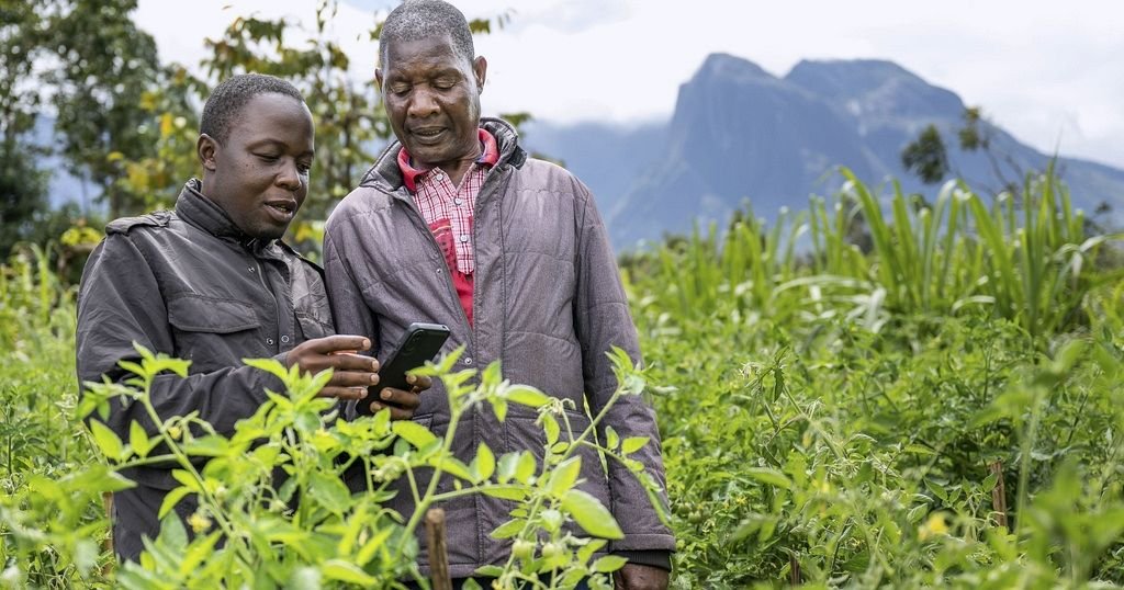 Malawi : l’intelligence artificielle au service des agriculteurs