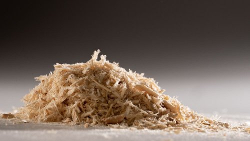 Sawdust for starters: Could turning industrial waste into meat alternatives solve food scarcity?
