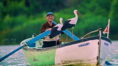 Meet the villagers who have formed deep bonds with migrating white storks