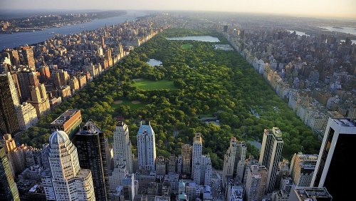 Central Park is being turned into a scientific lab to study climate change