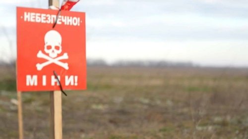 Pulverfass Landwirtschaft: Wie Bauern in Cherson ihre Arbeit wieder aufnehmen