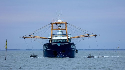 Bottom trawling in European waters costs society up to €11bn a year, new study finds