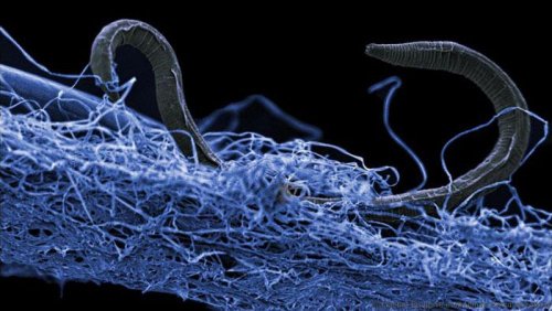 Complexity Science cover image