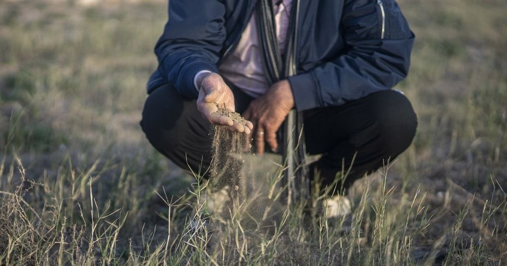 Maroc : des agriculteurs face au dessèchement des oasis