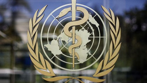 How is the World Health Organization funded, and why does it rely so much on Bill Gates?