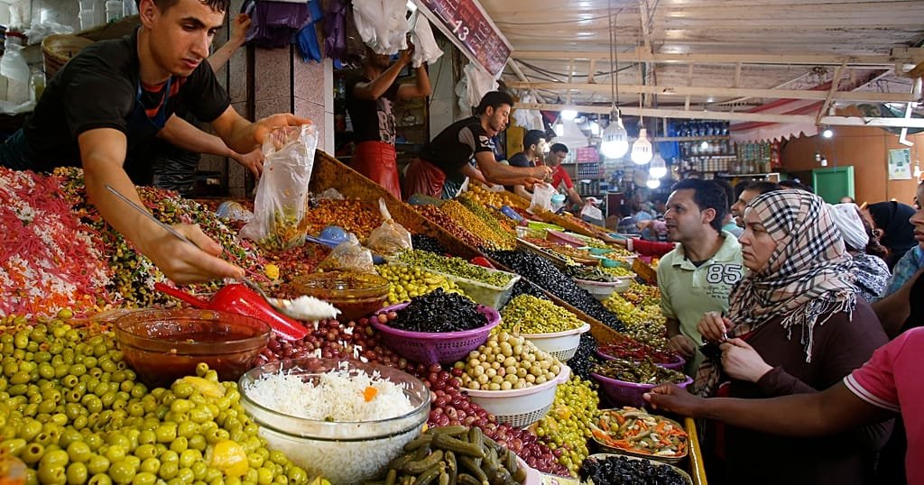 Maroc : la saison de récolte des olives célèbre la transmission des traditions