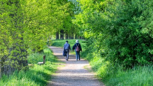 Are you saving smartly? Top pension advice experts want you to hear
