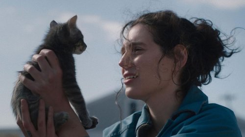 Ready furr their close-up: How cats became Hollywood's hottest stars