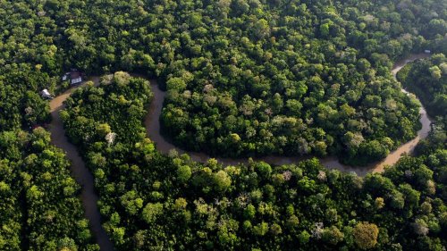 Drogenhändler isolieren: Frankreich will Hochsicherheitsgefängnis im Amazonas bauen